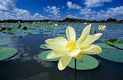 河洛新作《天外武林》上架Steam 明年1月发售